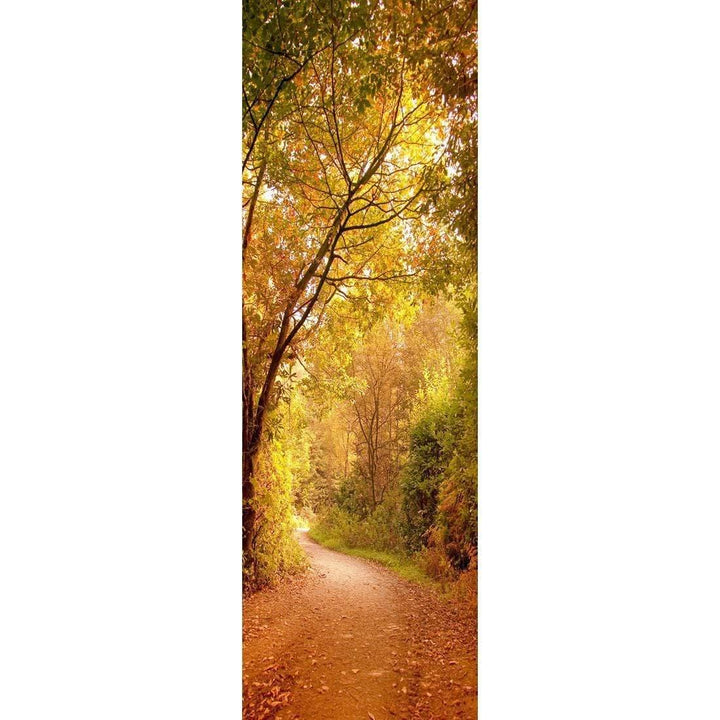 Autumn Pathway, Original (Long) Wall Art