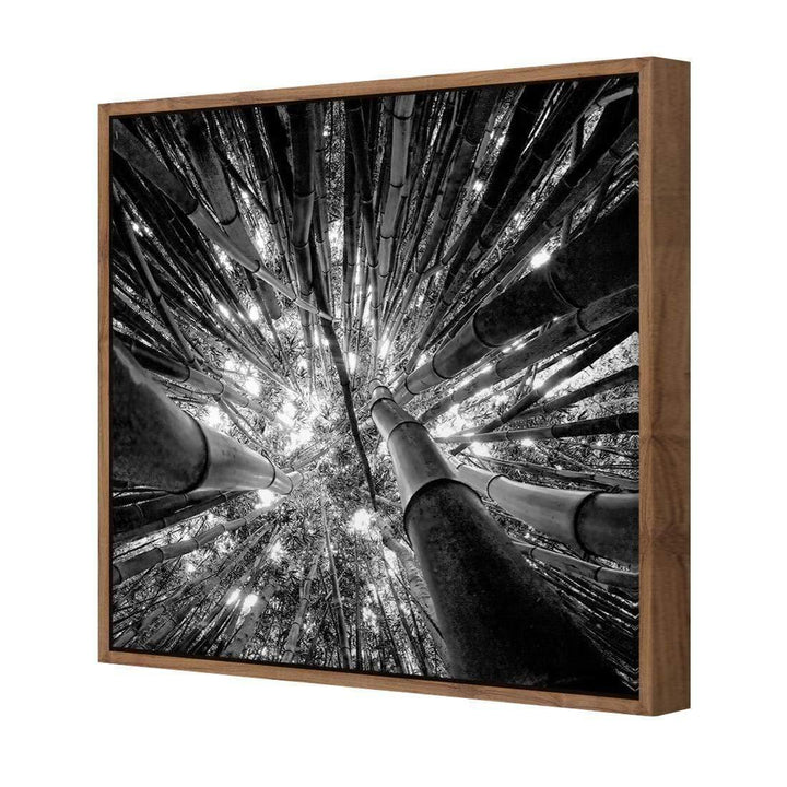 Bamboo From Above, Black and White (Square) Wall Art