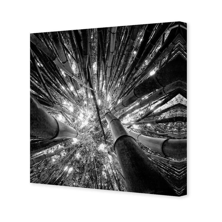 Bamboo From Above, Black and White (Square) Wall Art